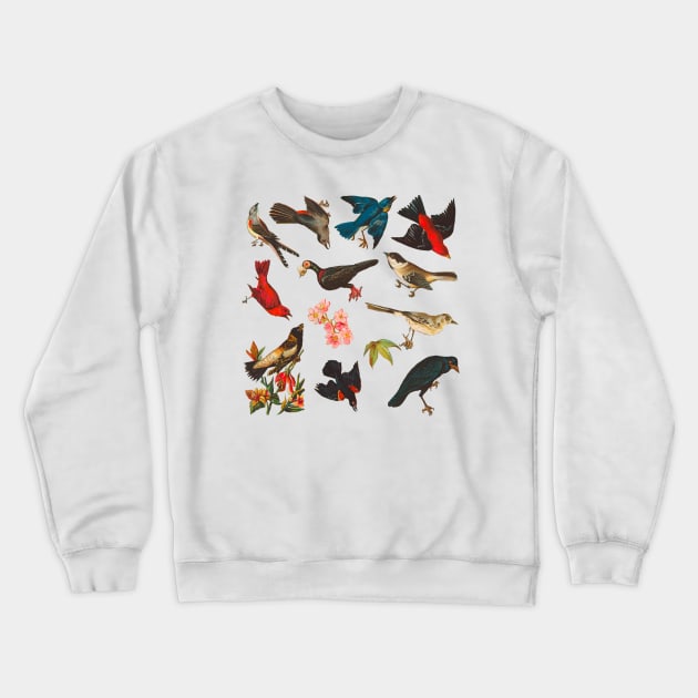 Vintage Birds Pattern Crewneck Sweatshirt by dinaaaaaah
